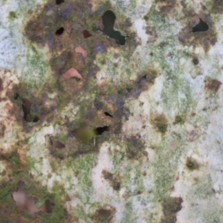 Rusty Metal Rusty