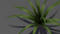 Modeling some low-poly plants Modeling Low-Poly Foliage