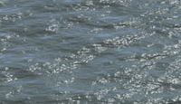 Water Surface mental ray Water Surface